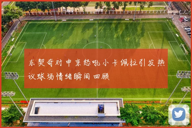 东契奇对申京怒吼小卡佩拉引发热议球场情绪瞬间回顾