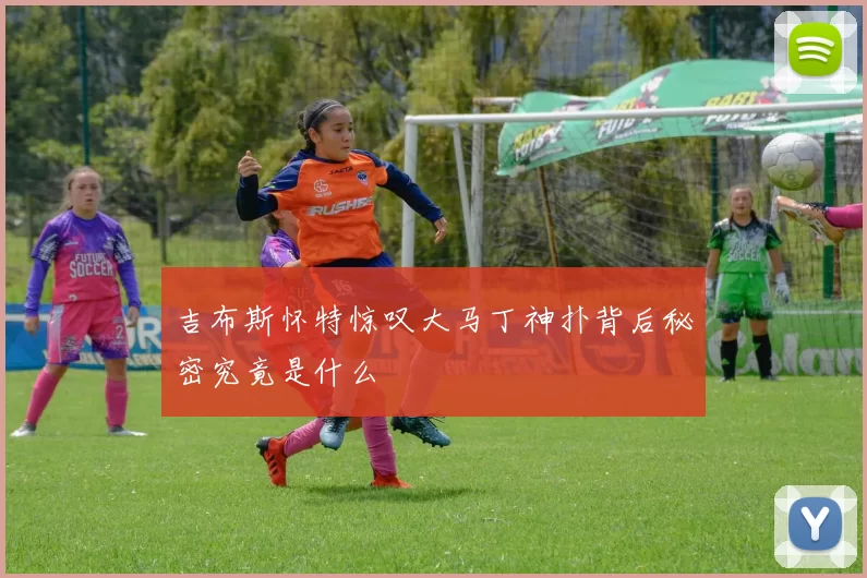 吉布斯怀特惊叹大马丁神扑背后秘密究竟是什么